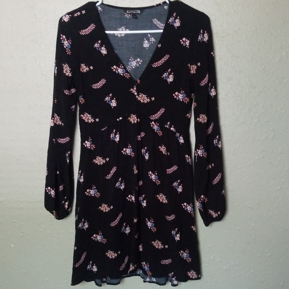Size 0 Express Dress